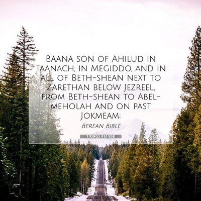 Picture 07 - 1 Kings 4:12 BSB - Baana son of Ahilud in Taanach, in Megiddo, and - Bible Verse Picture