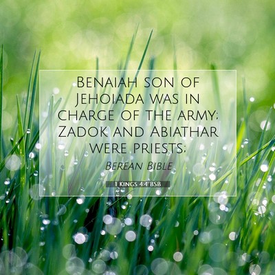Picture 07 - 1 Kings 4:4 BSB - Benaiah son of Jehoiada was in charge of the - Bible Verse Picture