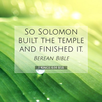 Picture 07 - 1 Kings 6:14 BSB - So Solomon built the temple and finished - Bible Verse Picture