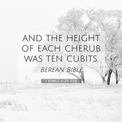 Picture 07 - 1 Kings 6:26 BSB - and the height of each cherub was ten - Bible Verse Picture