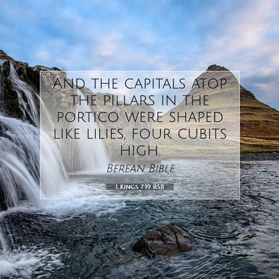 Picture 07 - 1 Kings 7:19 BSB - And the capitals atop the pillars in the portico - Bible Verse Picture