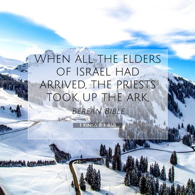 Picture 07 - 1 Kings 8:3 BSB - When all the elders of Israel had arrived, the - Bible Verse Picture