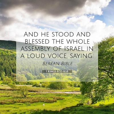 Picture 07 - 1 Kings 8:55 BSB - And he stood and blessed the whole assembly of - Bible Verse Picture