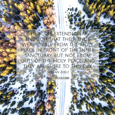 Picture 07 - 1 Kings 8:8 BSB - The poles extended far enough that their ends - Bible Verse Picture