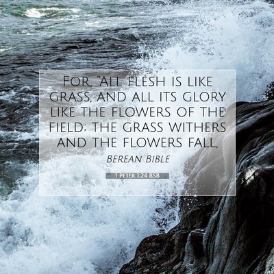 Picture 07 - 1 Peter 1:24 BSB - For, “All flesh is like grass, and all its - Bible Verse Picture