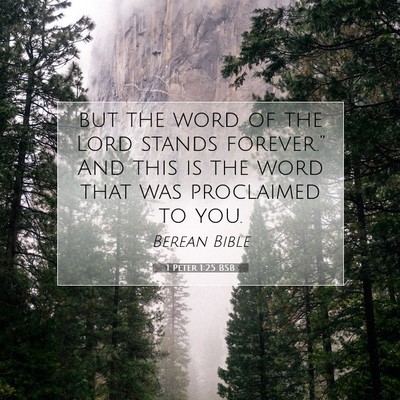 Picture 07 - 1 Peter 1:25 BSB - but the word of the Lord stands forever.” And - Bible Verse Picture