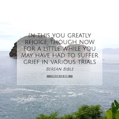 Picture 07 - 1 Peter 1:6 BSB - In this you greatly rejoice, though now for a - Bible Verse Picture