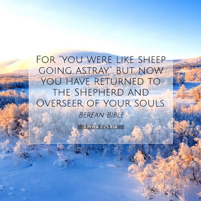 Picture 07 - 1 Peter 2:25 BSB - For “you were like sheep going astray,” but - Bible Verse Picture