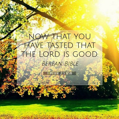Picture 07 - 1 Peter 2:3 BSB - now that you have tasted that the Lord is - Bible Verse Picture