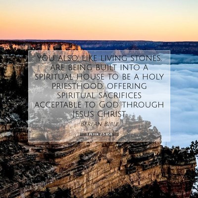 Picture 07 - 1 Peter 2:5 BSB - you also, like living stones, are being built - Bible Verse Picture