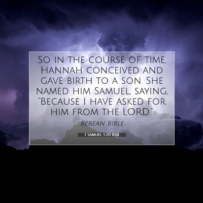 Picture 07 - 1 Samuel 1:20 BSB - So in the course of time, Hannah conceived and - Bible Verse Picture
