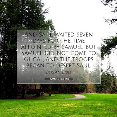 Picture 07 - 1 Samuel 13:8 BSB - And Saul waited seven days for the time appointed - Bible Verse Picture