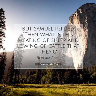 Picture 07 - 1 Samuel 15:14 BSB - But Samuel replied, “Then what is this bleating - Bible Verse Picture