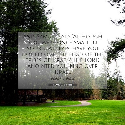 Picture 07 - 1 Samuel 15:17 BSB - And Samuel said, “Although you were once small - Bible Verse Picture