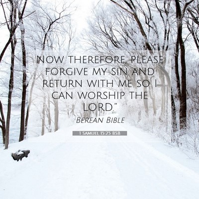Picture 07 - 1 Samuel 15:25 BSB - Now therefore, please forgive my sin and return - Bible Verse Picture
