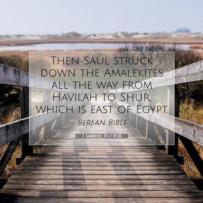 Picture 07 - 1 Samuel 15:7 BSB - Then Saul struck down the Amalekites all the way - Bible Verse Picture