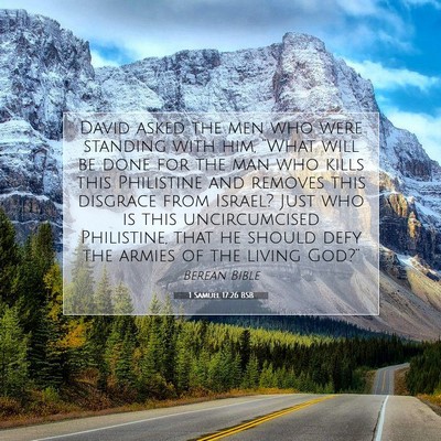 Picture 07 - 1 Samuel 17:26 BSB - David asked the men who were standing with him, - Bible Verse Picture