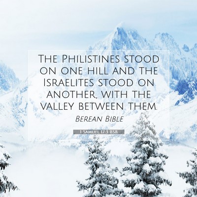 Picture 07 - 1 Samuel 17:3 BSB - The Philistines stood on one hill and the - Bible Verse Picture