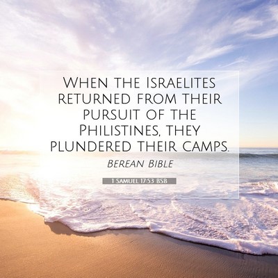 Picture 07 - 1 Samuel 17:53 BSB - When the Israelites returned from their pursuit - Bible Verse Picture