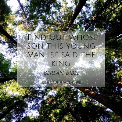 Picture 07 - 1 Samuel 17:56 BSB - “Find out whose son this young man is!” said - Bible Verse Picture