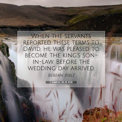 Picture 07 - 1 Samuel 18:26 BSB - When the servants reported these terms to David, - Bible Verse Picture