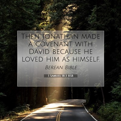 Picture 07 - 1 Samuel 18:3 BSB - Then Jonathan made a covenant with David because - Bible Verse Picture
