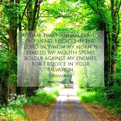 Picture 07 - 1 Samuel 2:1 BSB - At that time Hannah prayed: “My heart rejoices - Bible Verse Picture