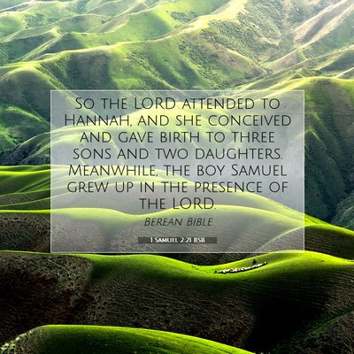 Picture 07 - 1 Samuel 2:21 BSB - So the LORD attended to Hannah, and she conceived - Bible Verse Picture
