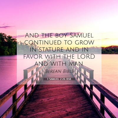 Picture 07 - 1 Samuel 2:26 BSB - And the boy Samuel continued to grow in stature - Bible Verse Picture