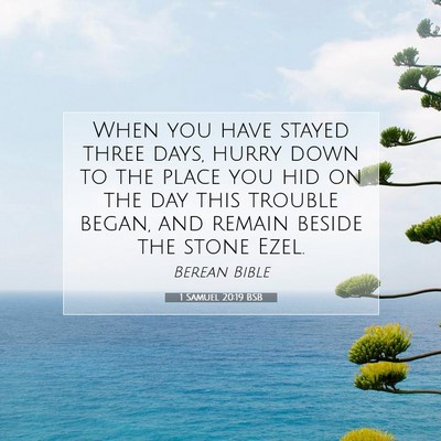 Picture 07 - 1 Samuel 20:19 BSB - When you have stayed three days, hurry down to - Bible Verse Picture