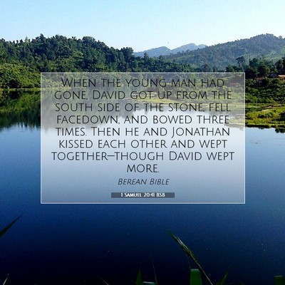 Picture 07 - 1 Samuel 20:41 BSB - When the young man had gone, David got up from - Bible Verse Picture