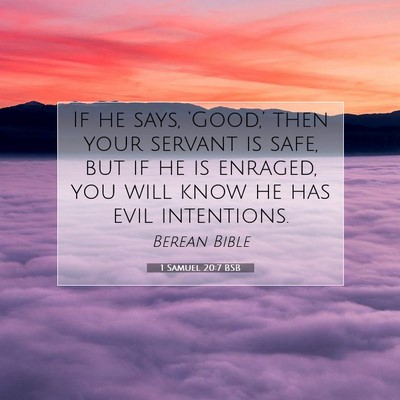 Picture 07 - 1 Samuel 20:7 BSB - If he says, ‘Good,’ then your servant is - Bible Verse Picture