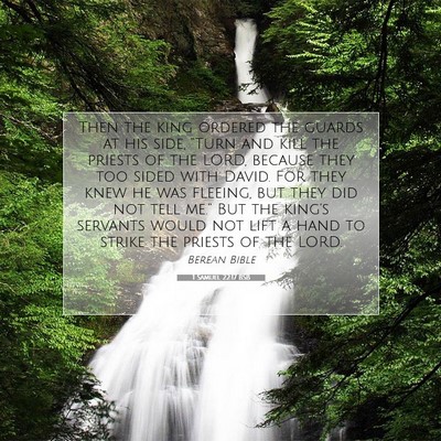 Picture 07 - 1 Samuel 22:17 BSB - Then the king ordered the guards at his side, - Bible Verse Picture