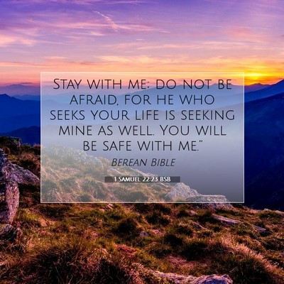 Picture 07 - 1 Samuel 22:23 BSB - Stay with me; do not be afraid, for he who seeks - Bible Verse Picture