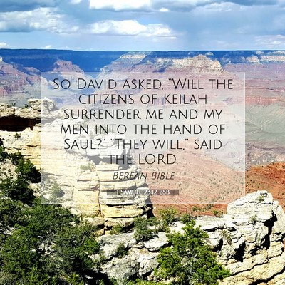 Picture 07 - 1 Samuel 23:12 BSB - So David asked, “Will the citizens of Keilah - Bible Verse Picture