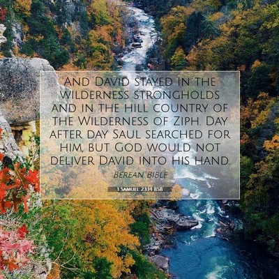 Picture 07 - 1 Samuel 23:14 BSB - And David stayed in the wilderness strongholds - Bible Verse Picture