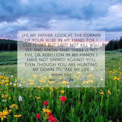 Picture 07 - 1 Samuel 24:11 BSB - See, my father, look at the corner of your robe - Bible Verse Picture