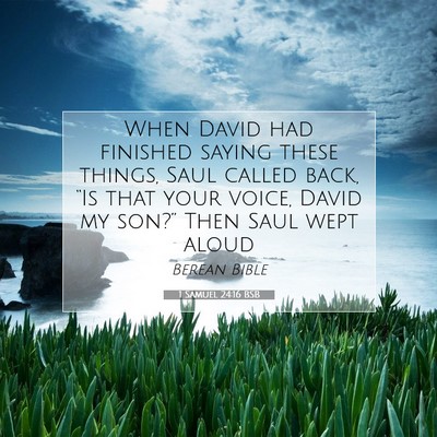 Picture 07 - 1 Samuel 24:16 BSB - When David had finished saying these things, Saul - Bible Verse Picture
