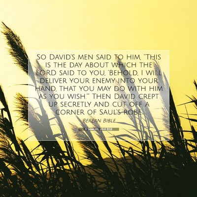 Picture 07 - 1 Samuel 24:4 BSB - So David’s men said to him, “This is the day - Bible Verse Picture