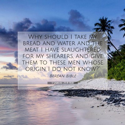 Picture 07 - 1 Samuel 25:11 BSB - Why should I take my bread and water and the meat - Bible Verse Picture