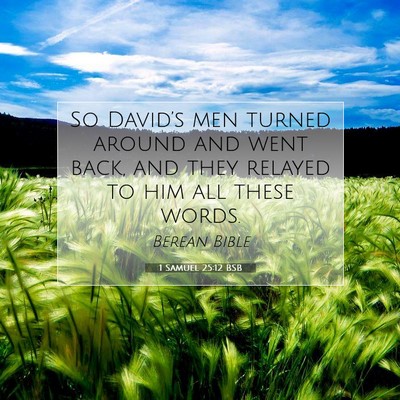 Picture 07 - 1 Samuel 25:12 BSB - So David’s men turned around and went back, and - Bible Verse Picture