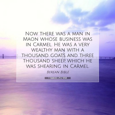 Picture 07 - 1 Samuel 25:2 BSB - Now there was a man in Maon whose business was in - Bible Verse Picture