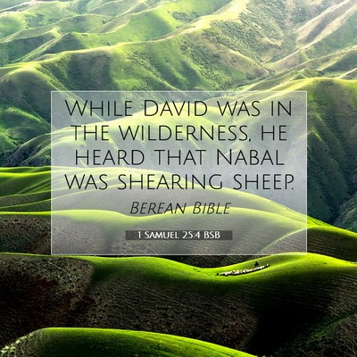 Picture 07 - 1 Samuel 25:4 BSB - While David was in the wilderness, he heard that - Bible Verse Picture