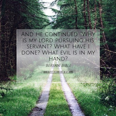 Picture 07 - 1 Samuel 26:18 BSB - And he continued, “Why is my lord pursuing his - Bible Verse Picture