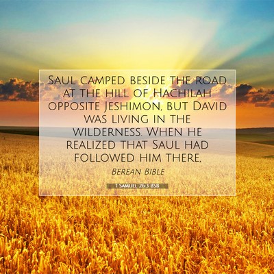 Picture 07 - 1 Samuel 26:3 BSB - Saul camped beside the road at the hill of - Bible Verse Picture