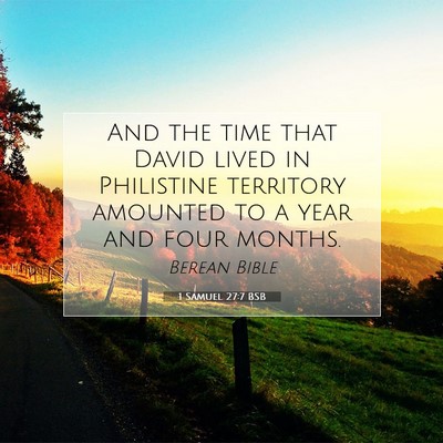 Picture 07 - 1 Samuel 27:7 BSB - And the time that David lived in Philistine - Bible Verse Picture