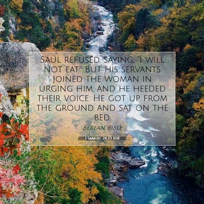 Picture 07 - 1 Samuel 28:23 BSB - Saul refused, saying, “I will not eat.” But - Bible Verse Picture