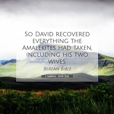 Picture 07 - 1 Samuel 30:18 BSB - So David recovered everything the Amalekites had - Bible Verse Picture