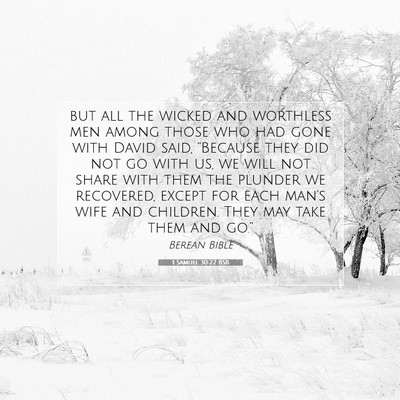Picture 07 - 1 Samuel 30:22 BSB - but all the wicked and worthless men among those - Bible Verse Picture