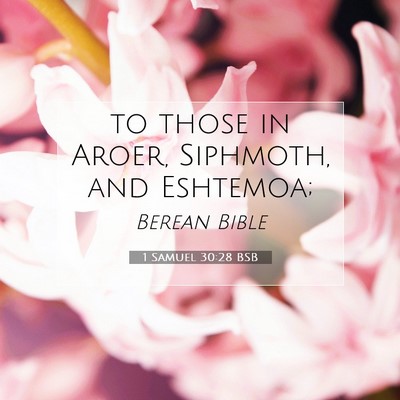 Picture 07 - 1 Samuel 30:28 BSB - to those in Aroer, Siphmoth, and - Bible Verse Picture